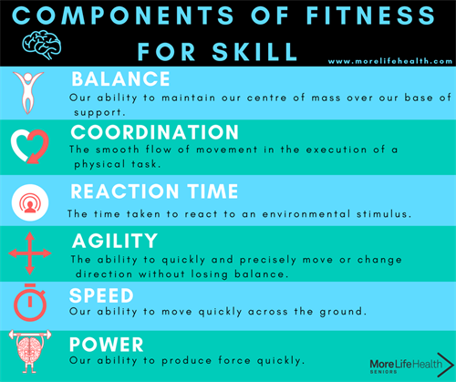 skill components of physical fitness